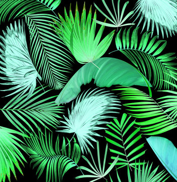 mix palm leaf tree background
