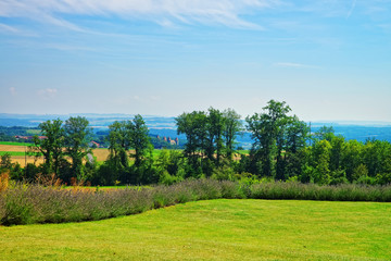 Obraz premium Lavender field in village in Yverdon les Bains in Switzerland