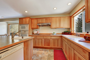 Kitchen interior with honey cabinets and built-in appliances