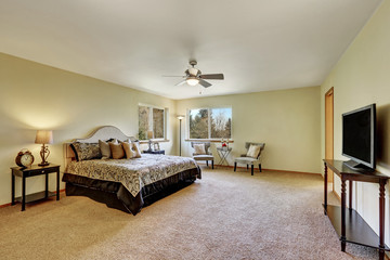 Master bedroom interior with king size bed  and television