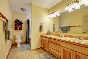 Fototapeta na wymiar Close up of long double sink bathroom vanity