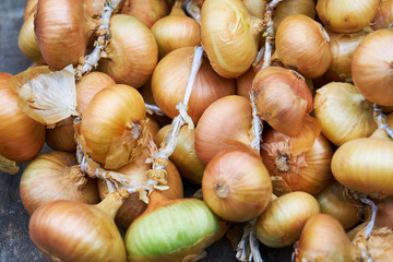 Onions background