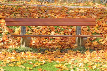 Bank inmitten von Blättern im Herbst