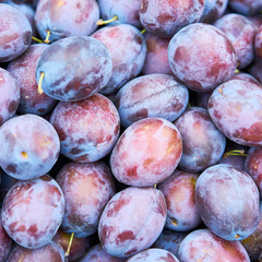Plum background