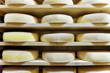 Rack of aging Comte Cheese at maturing cellar Franche Comte