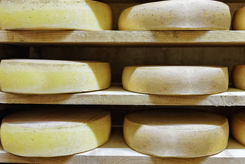 Rack of aging Comte Cheese at ripening cellar Franche Comte