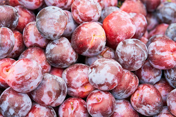 Ripe plum background