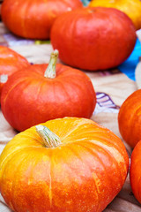 Ripe pumpkins background