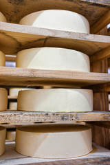 Fototapeta na wymiar Row of aging Cheese in maturing cellar Franche Comte