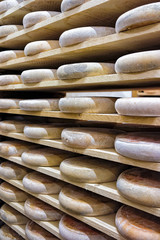 Rows of aging Cheese in maturing cellar Franche Comte creamery