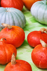 Seasonal pumpkins background