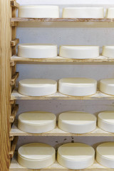 Fototapeta na wymiar Shelf of young Cheese in maturing cellar French dairy