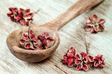 Wooden spoon and dried herbs or spices