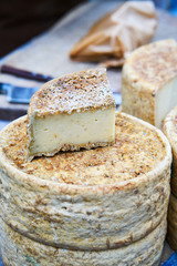 Slab and head of Cheese