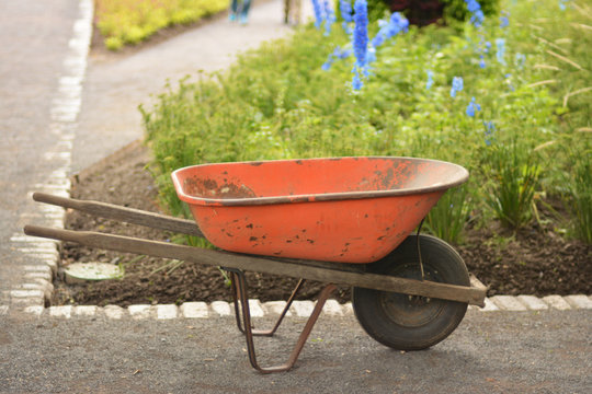 Old rusty wheelbarrow cart in the garden.Colorful summer garden.Working in the garden.