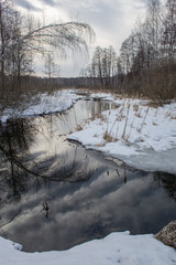 Schukin meadow