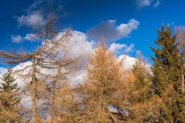 Monte Panarotta. autumn view of the mountains of Cima Panarotta, Levico Terme, Trentino Alto Adige, Italy
