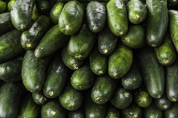 Stack of Cucumbers