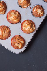 apple muffins on a black background
