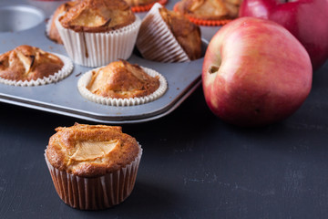 apple muffins on a black background