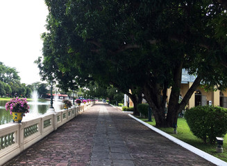 Beautiful walkway under the big trees in the park.