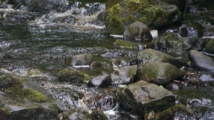 Wasserfall im Glenariff National Park / Nordirland 