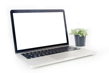 Nerve plant on pot and front of notebook screen on isolated whit