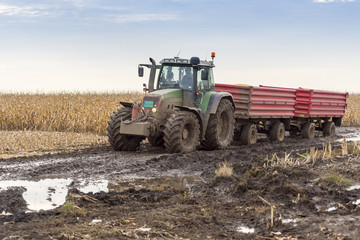 Tractor with Trailers in the Mud on the Harvested Field