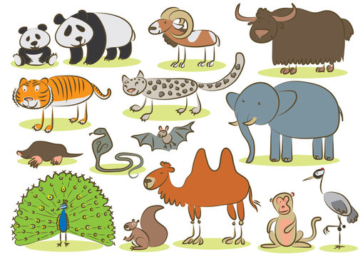 Asian animals kids drawing