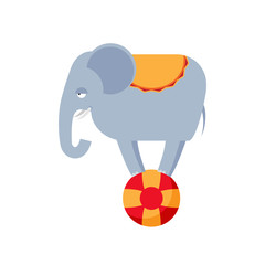 Elephant on ball isolated. Circus animals on white background.