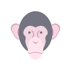 Monkey face isolated. Chimpanzee head. Primacy of person