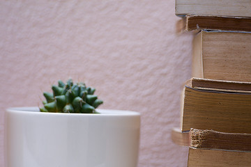 Books Stacked And Cactus / Books Stacked And Cactus In White Pot At Plaster Surface Backdrop.