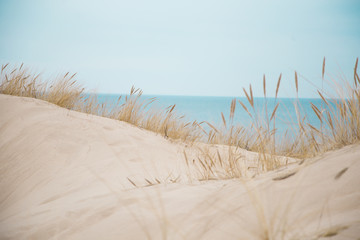 Beautiful white sand dunes at the sea beach - obrazy, fototapety, plakaty