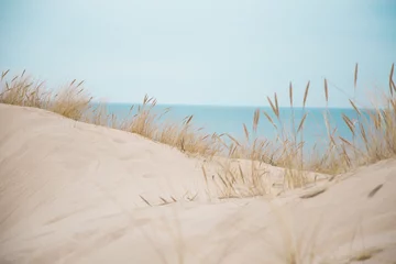 Zelfklevend Fotobehang Prachtige witte zandduinen aan het zeestrand © dachux21