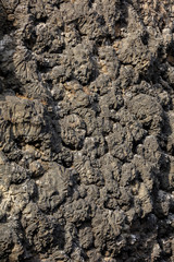 Black lava stone wall - obrazy, fototapety, plakaty