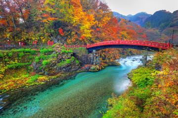 Shinkyo Bridge during autumn in Nikko, Tochigi, Japan - obrazy, fototapety, plakaty