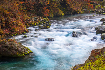 Crystal water of mountain creek  in Nikko, Tochigi, Japan