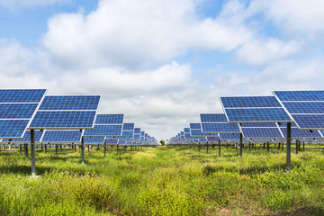 solar panels  photovoltaics in solar power station  - 128064628
