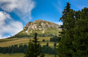 Fototapeta premium Val di Fiemme, Italy, summer lanscape with Dolomites Alps in background.