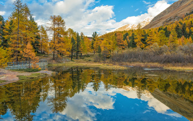 autumn landscape in Martello Valley,South Tyrol, Italia. 
