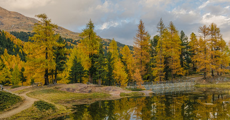 autumn landscape in Martello Valley,South Tyrol, Italia. 
