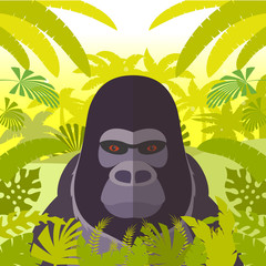 Gorilla on the Jungle Background