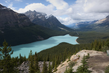 Obraz premium Peyto Lake