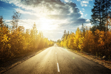 road in north forest in autumn time