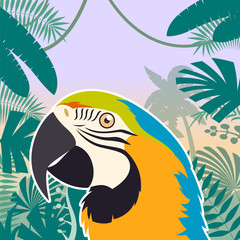 Macaw on the Jungle Background