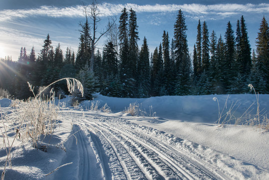 Ice Path
