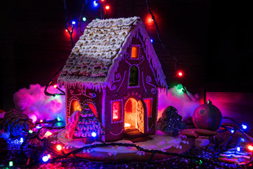 Gingerbreads for new years and christmas