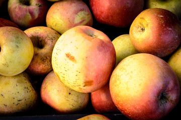 Manzanas ecológicas de Lleida