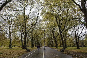 Fototapeta premium Hyde park, London in the fall