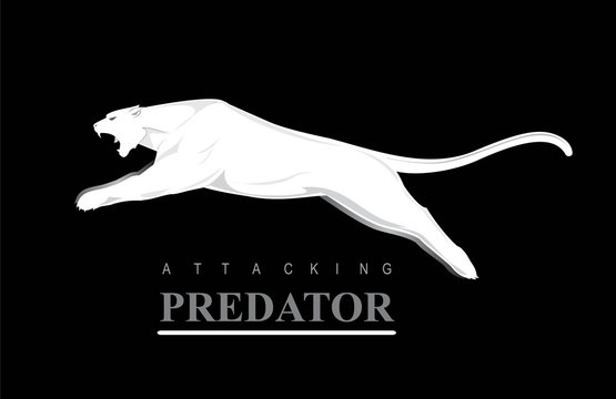 Leaping Predator. Leaping Cougar. Fearless Puma.